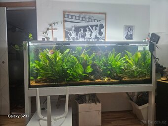 Plně vybavené obří akvárium 800L - 2