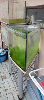 Rohové Akvárium-180l. - 2