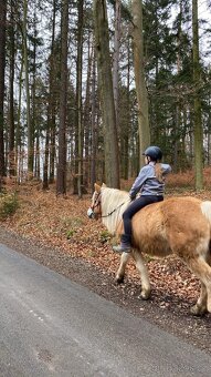 Hafling pro začátečníka - 2