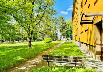 Pronájem bytu 1+kk 23 m², J. Hory - 2