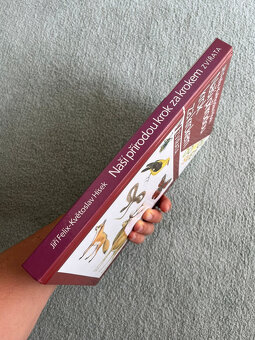 Naší přírodou krok za krokem - Zvířata, Hísek, Felix - 2