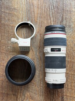 Canon 70-200/4 L USM - 2