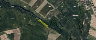 Dědice u Vyškova (7 855 m2) - 2