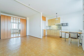 Pronájem 1+kk,30m2,8NP u metra Hloubětín - 2