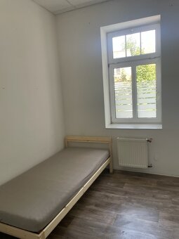 Pronajmu 2 spojené pokoje s vlastním WC a sprchovým koutem. - 2