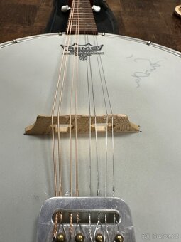 Banjo 8 strunné od mistra Šavrdy - 2