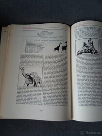 J.Vágner -Afrika - 2