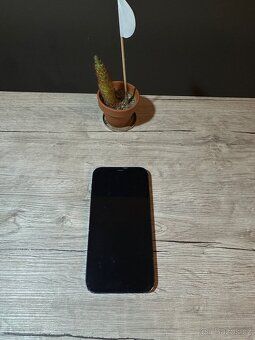 iPhone 12 64GB 100% - 2
