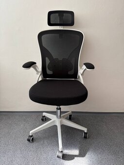 Ergonomická židle Ahua - 2