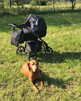 Kočárek Roan coss+ cybex aton 5 - 2