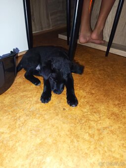 Z důvodu cestování - 2