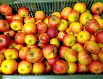 Jablka na prodej - 2