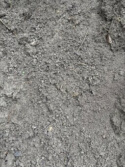 Hlína, zemina, ornice - 2