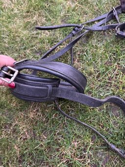 Uzdecka komplet s sirokym nanosnikem - 2