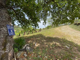 LOT 8 Bodden Bight Estate, Roatan - 2