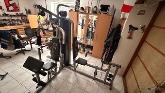 Posilovací věž Hammer - 2