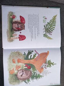 Krásné dětské knihy čtené - velmi milované našimi dětmi - 2