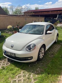 Volkswagenu beetle - 2