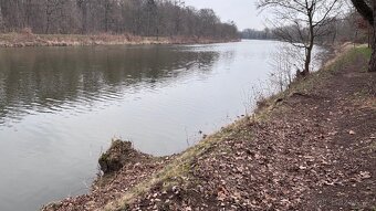 Pozemek - kolín pronájem rybaření , rekreace - 2