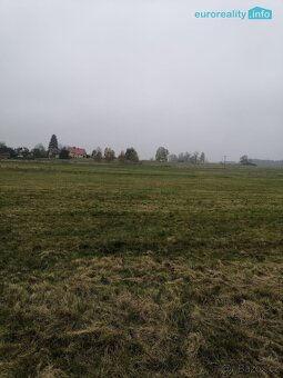 Prodej, pozemková parcela, Stanovice 9.239,5 m2 - 2