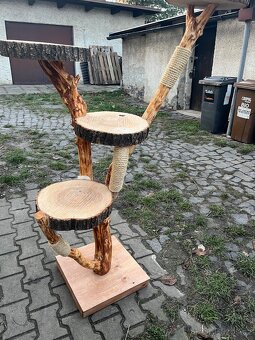 Kočicí strom - 2