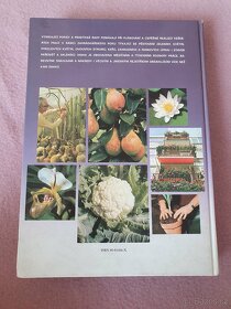 Velká kniha o zahradě - 2