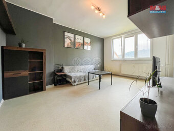 Prodej bytu 2+1, 47 m², Lenora - 2