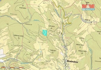 Prodej lesa, 19245 m², Bratrušov - 2