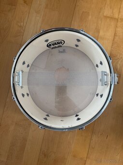 Snare (virbl) Pearl Roadshow - 2