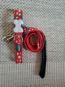 2x Obojek a vodítko  Red Dingo - 2