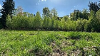 Prodej, lesní pozemek, 32.970 m2, Stolín, Náchod - 2