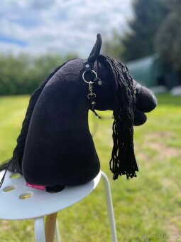 Hobby horse - 2