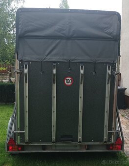 Přívěs na dva koně Bockmann - 2