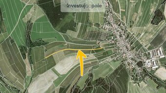 Prodej podílu 1/3 specifického pozemku 1 138 m², Trpín - 2