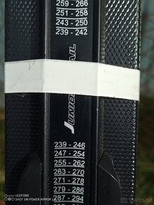 Dětské lyže Fischer Race - 2