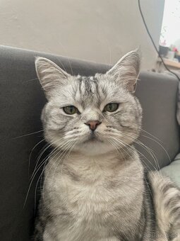 Daruji-rezervace - 2