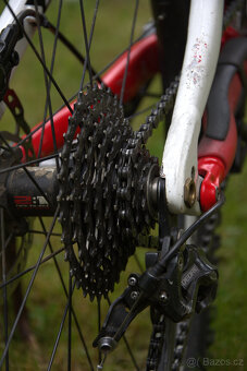 Specialized Expert Celoodpružené - 2