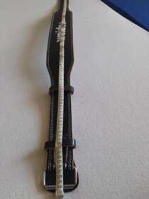 pasek - 2