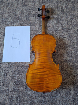 Viola 38,5 (5) - 2