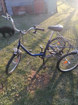 Tříkolka pro dospělé - 2