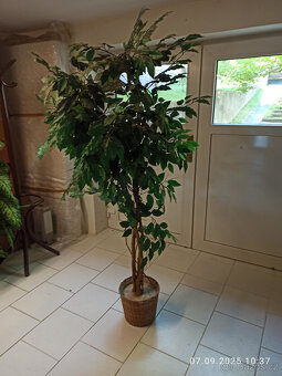 Umělé květiny - 2