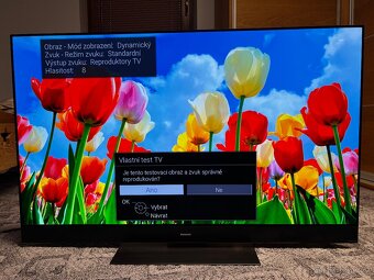 Televize Panasonic TX-55HZ2000E 55" (139cm) - 2