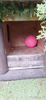 Psí bouda za odvoz, zateplená, 2 místnosti - 2