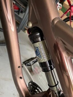 Stumpjumper FSR - 2