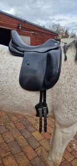 Drezurní sedlo Rhode x Thetis - 2