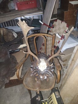 Paroží a trofeje - 2