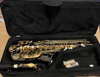 Alt saxofon Cherrystone - 2