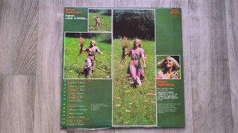 LP - Helena Vondráčková, Petra Janů - 2
