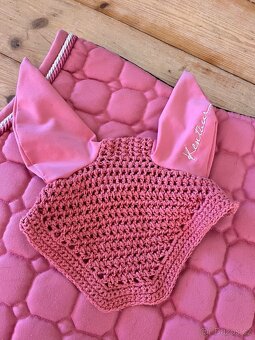 Pony sada dečka + čabraka - 2