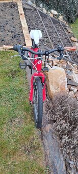 Superior Paint 20"- PĚKNÉ - 2